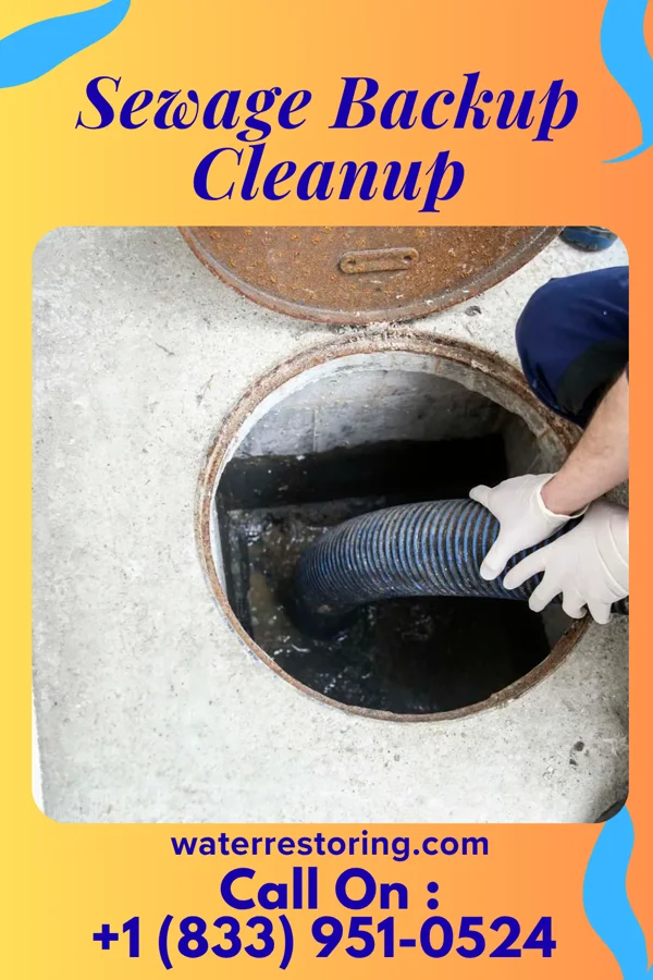 Sewage Backup Cleanup in Weedsport, NY