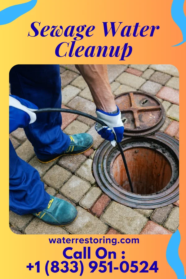 Sewage Water Cleanup in Weedsport, NY