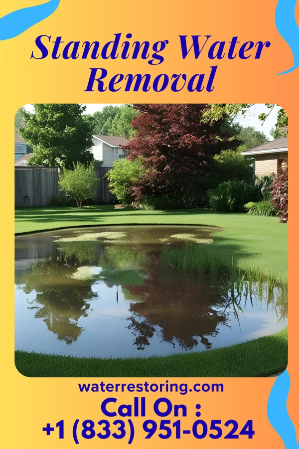 Standing Water Removal in Weedsport, NY